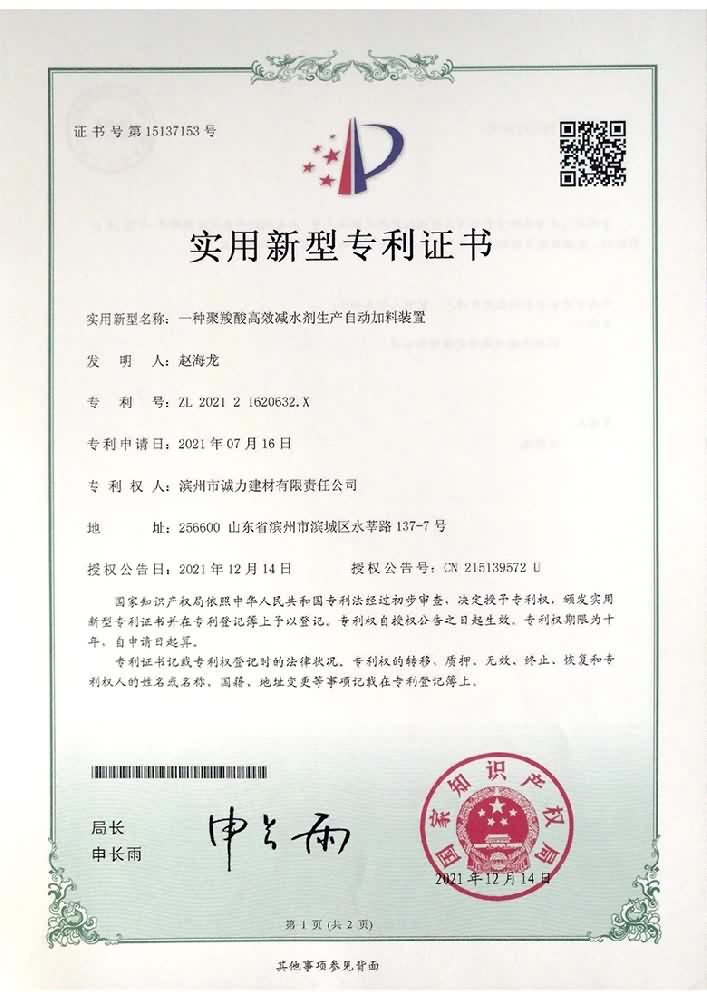 Patent certificate 8