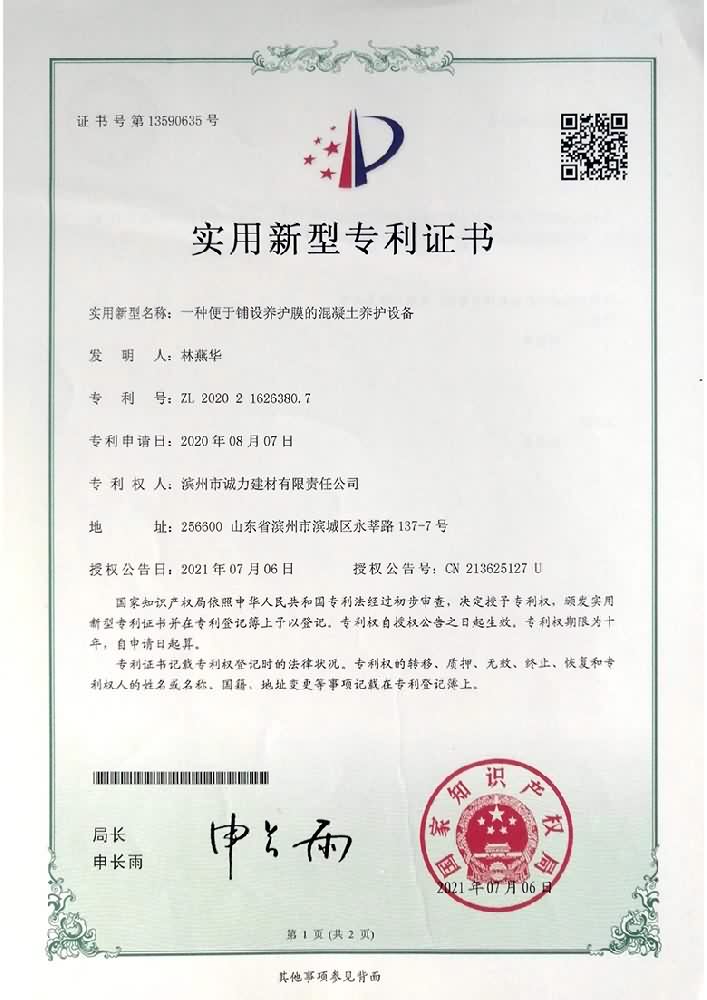 Patent certificate 10